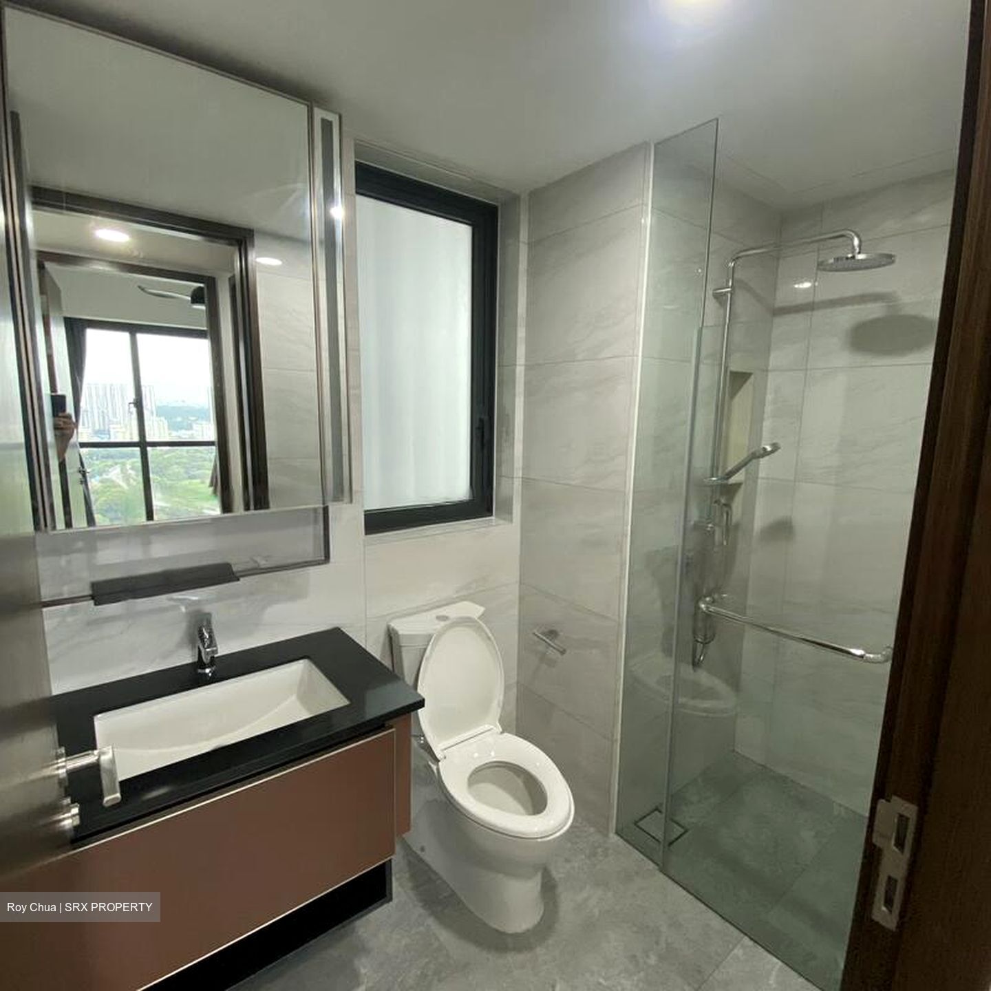 Normanton Park (D5), Apartment #465331131